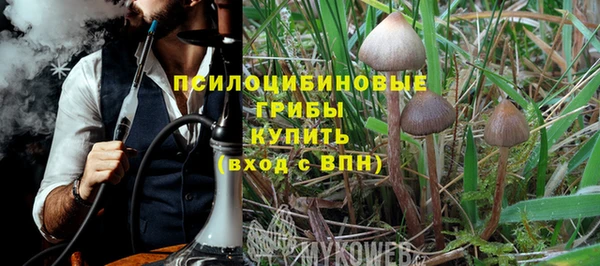 дурь Аркадак