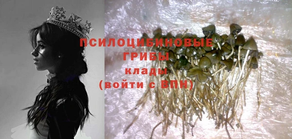 первитин Армянск