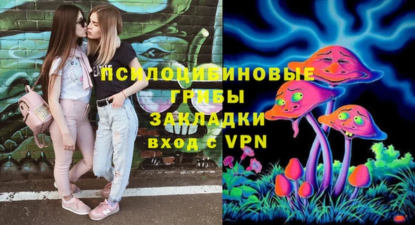 дурь Аркадак