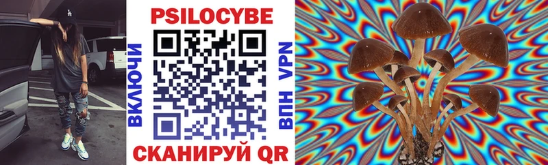 Псилоцибиновые грибы Psilocybe сколько стоит Суворов
